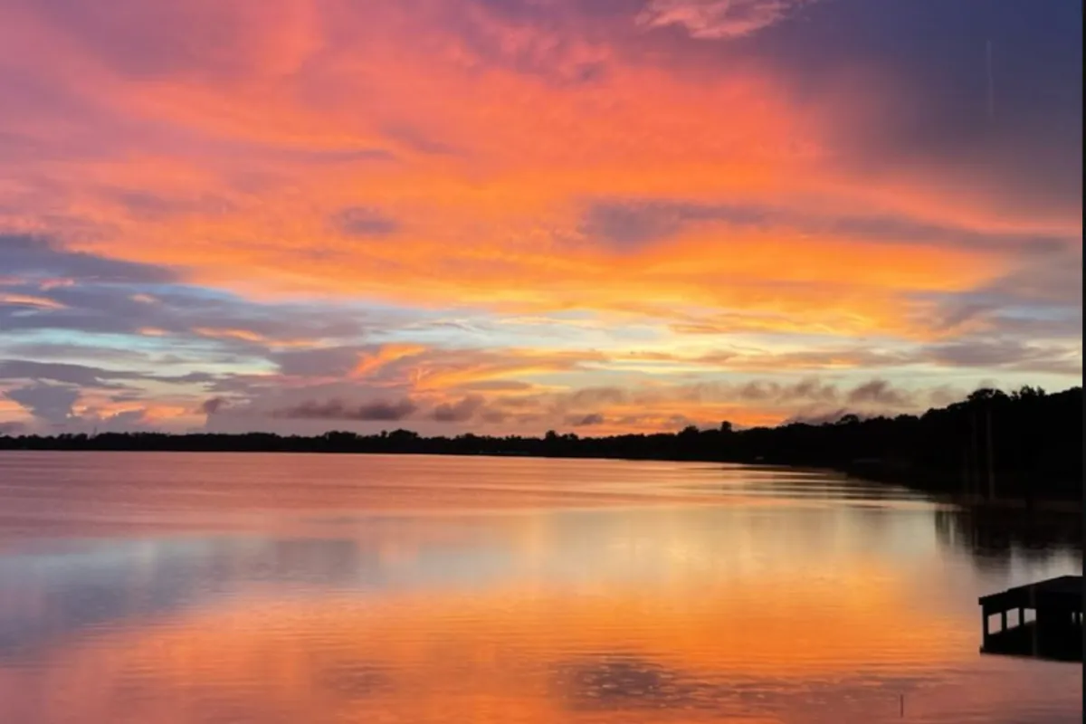 Discover Hidden Gems in Winter Garden