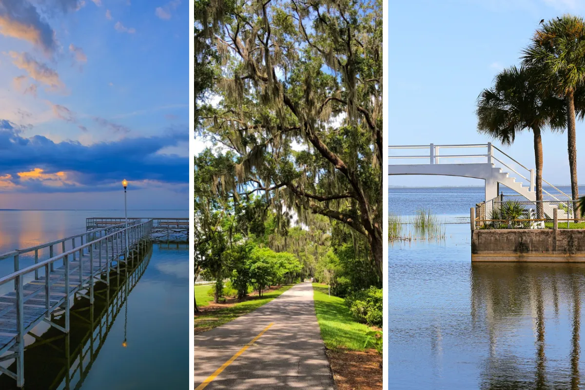 Explore Nature’s Beauty in Winter Garden