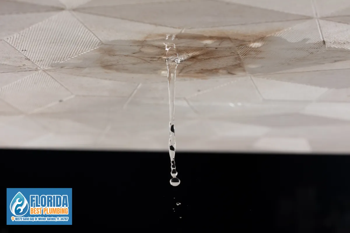 Leaks That Keep Coming Back – A Bigger Problem Than You Think