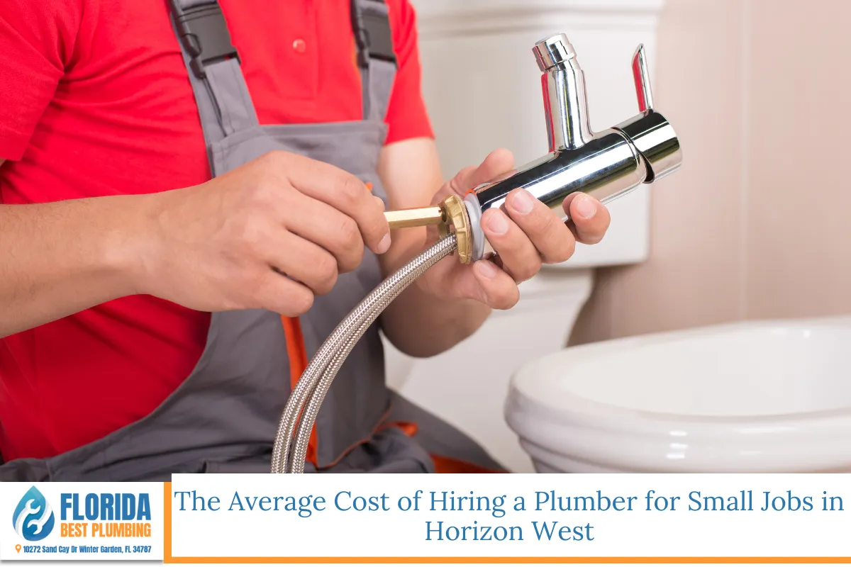 The Average Cost of Hiring a Plumber for Small Jobs in Horizon West