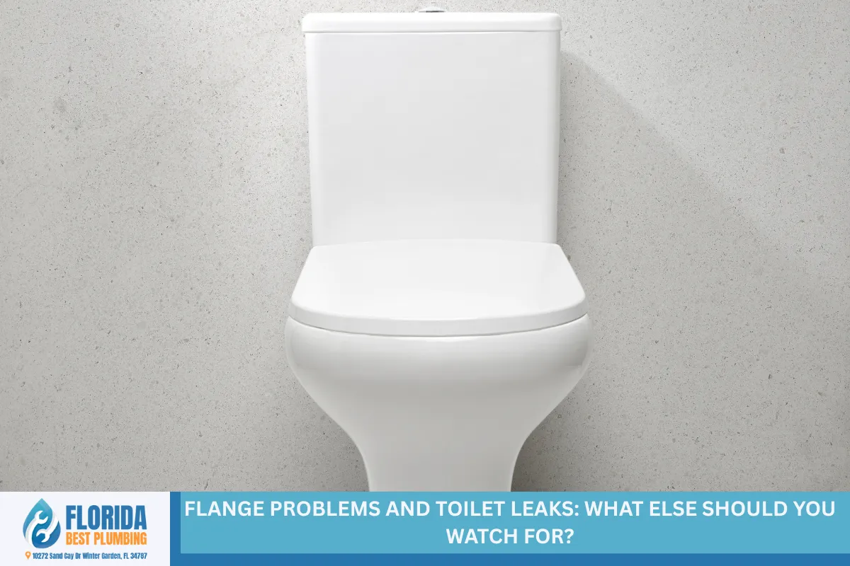 Flange Problems and Toilet Leaks: What Else Should You Watch For?