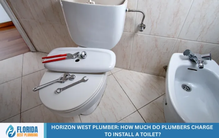 Horizon West Plumber: How Much Do Plumbers Charge to Install a Toilet?