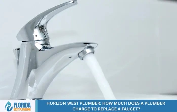 Horizon West Plumber: How Much Does a Plumber Charge to Replace a Faucet?