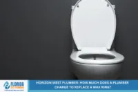 Horizon West Plumber: How Much Does a Plumber Charge to Replace a Wax Ring?