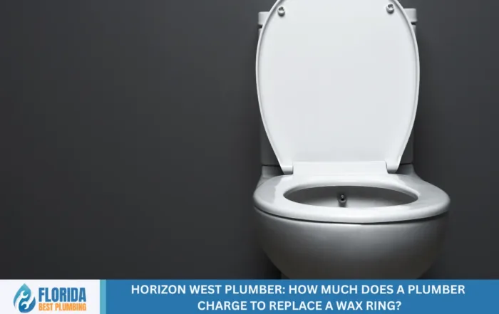 Horizon West Plumber: How Much Does a Plumber Charge to Replace a Wax Ring?