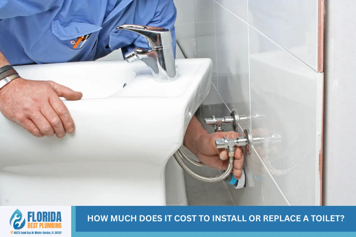 How Much Does It Cost to Install or Replace a Toilet?