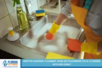 Winter Garden Plumber: How Do Plumbers Fix a Clogged Kitchen Sink?