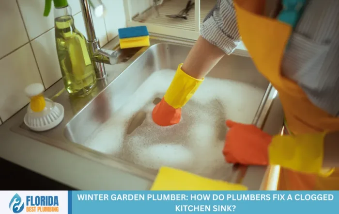 Winter Garden Plumber: How Do Plumbers Fix a Clogged Kitchen Sink?