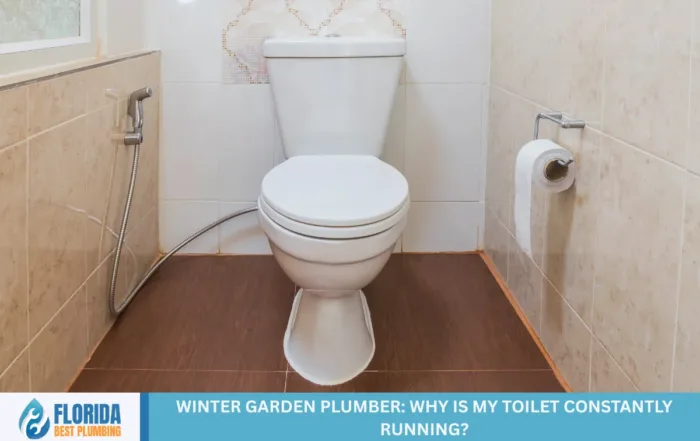 Winter Garden Plumber: Why is My Toilet Constantly Running?