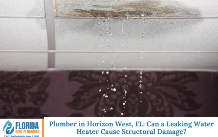 Plumber in Horizon West, FL Can a Leaking Water Heater Cause Structural Damage