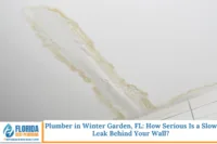 Plumber in Winter Garden, FL How Serious Is a Slow Leak Behind Your Wall