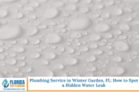 Plumbing Service in Winter Garden, FL How to Spot a Hidden Water Leak