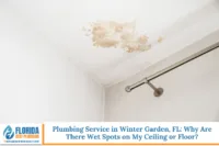 Plumbing Service in Winter Garden, FL Why Are There Wet Spots on My Ceiling or Floor