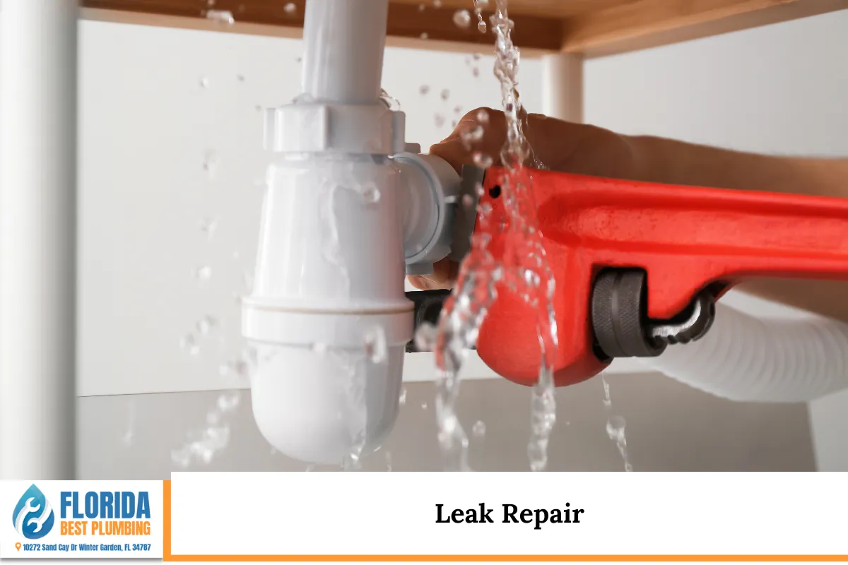 Leak Repair