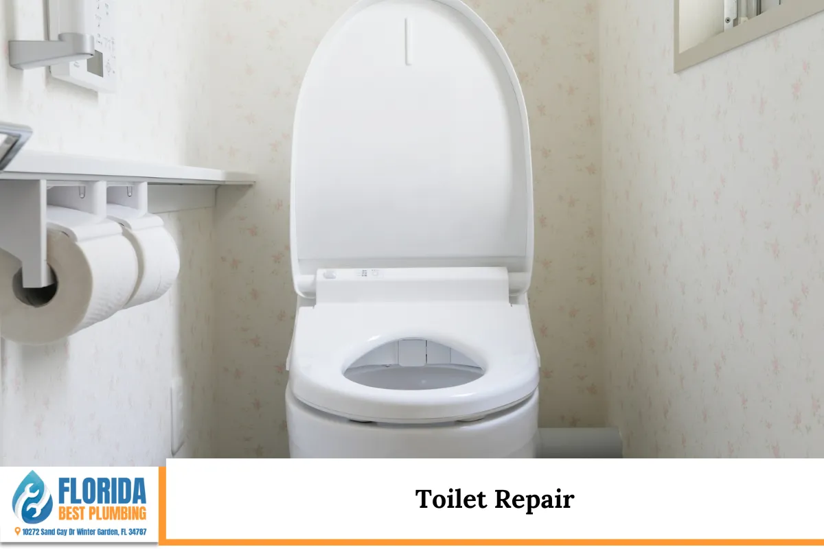 Toilet Repair