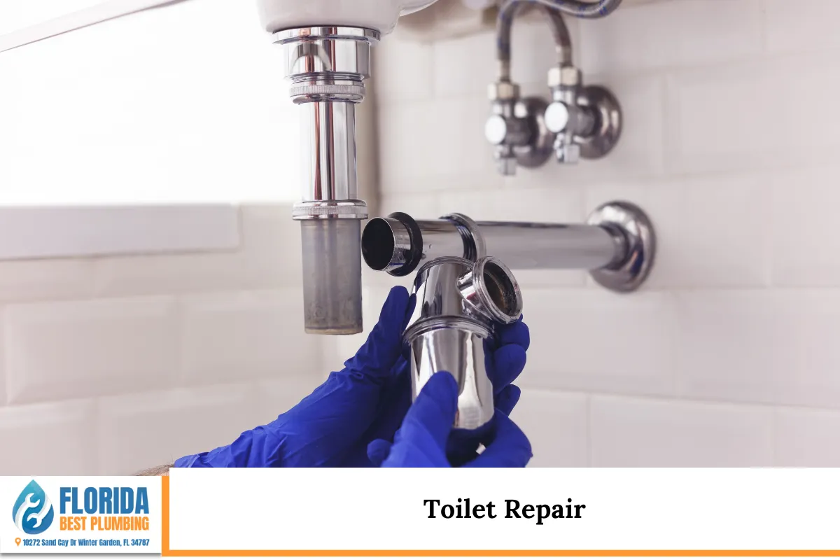 Toilet Repair