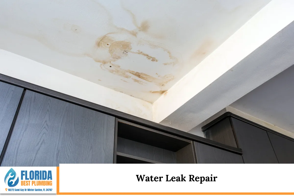 Water Leak Repair