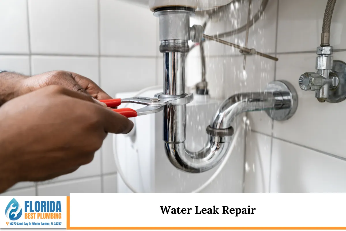 Water Leak Repair