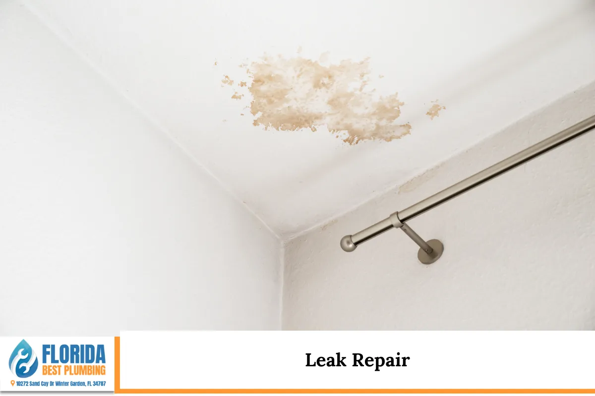 Leak Repair