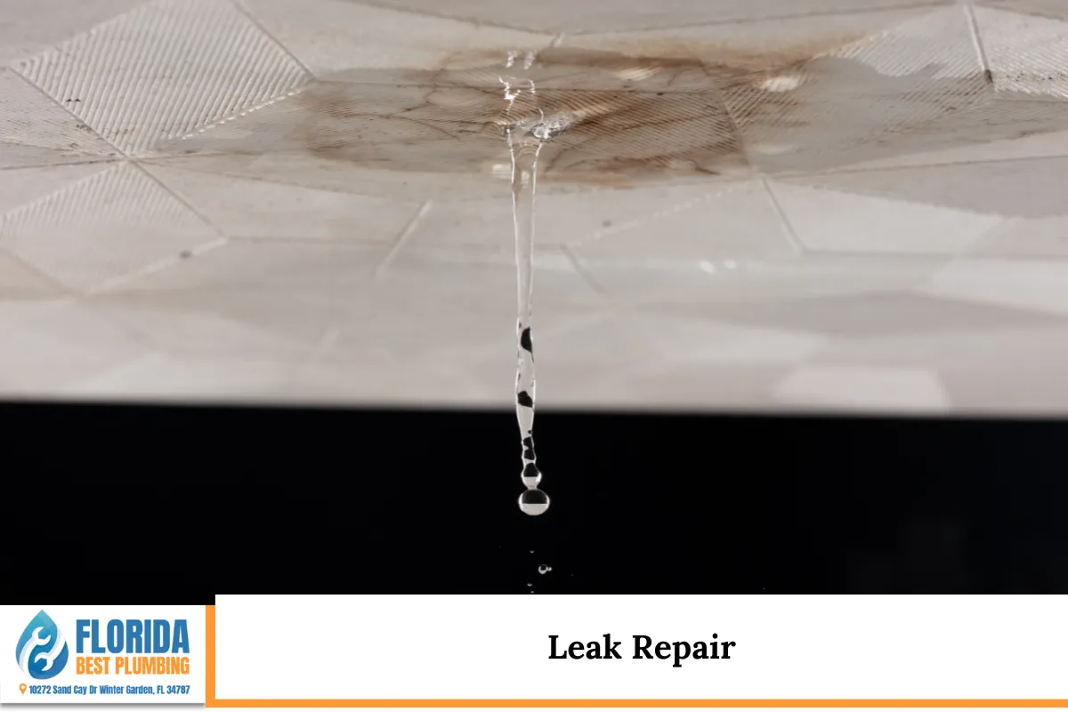 Leak Repair