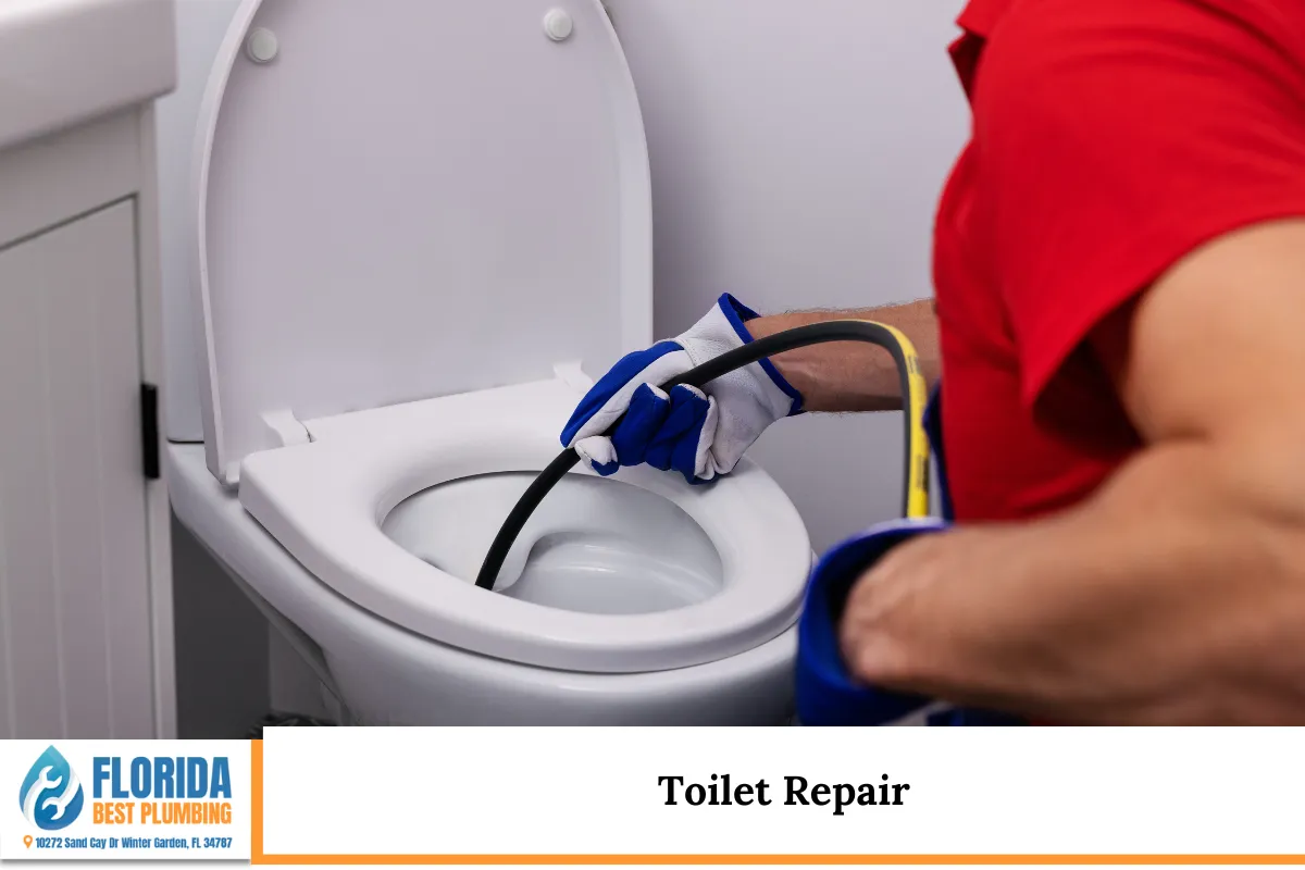 Toilet Repair