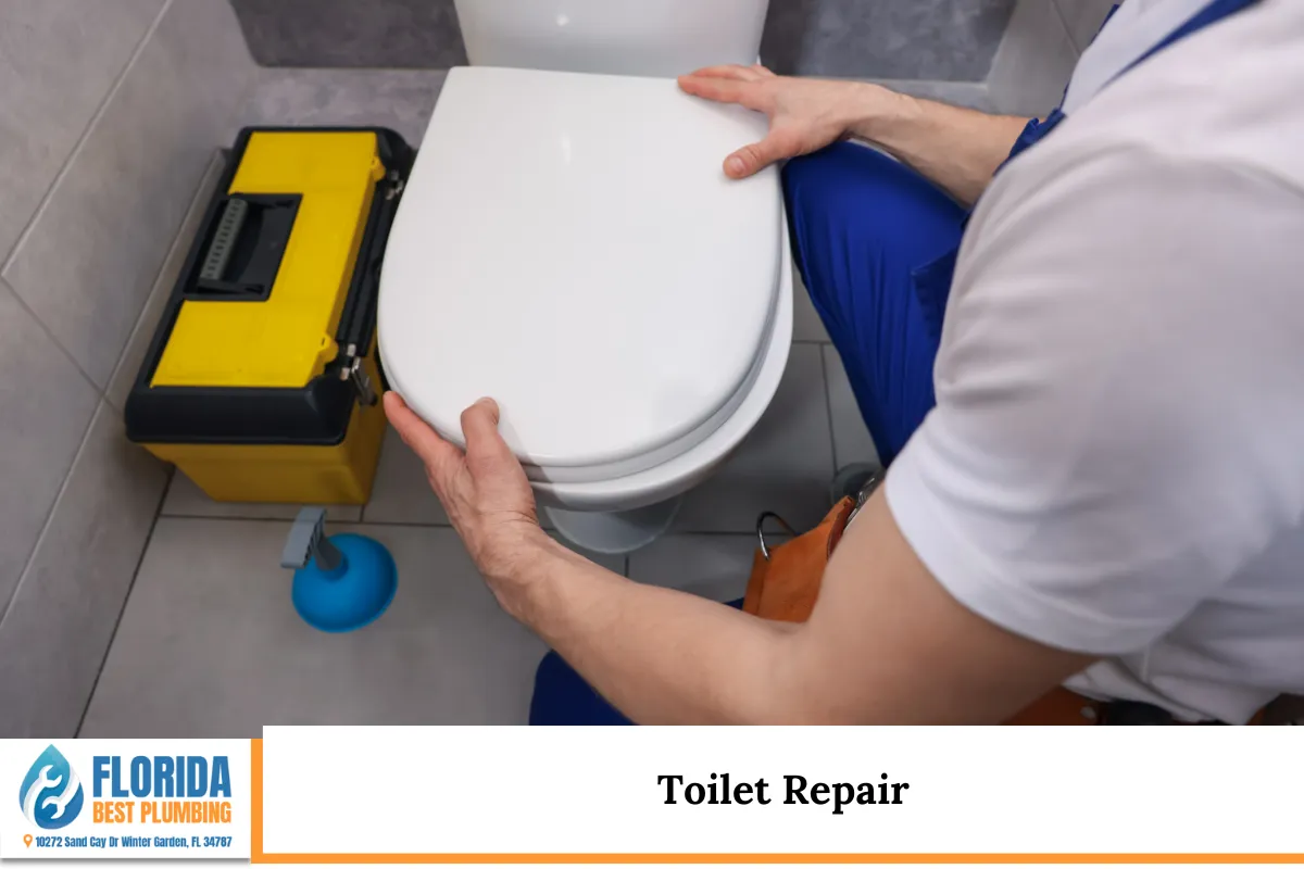 Toilet Repair