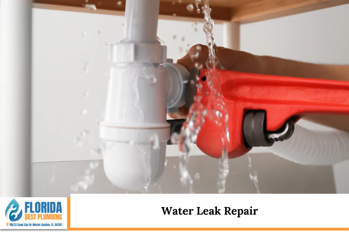 Water Leak Repair