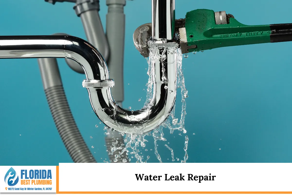Water Leak Repair